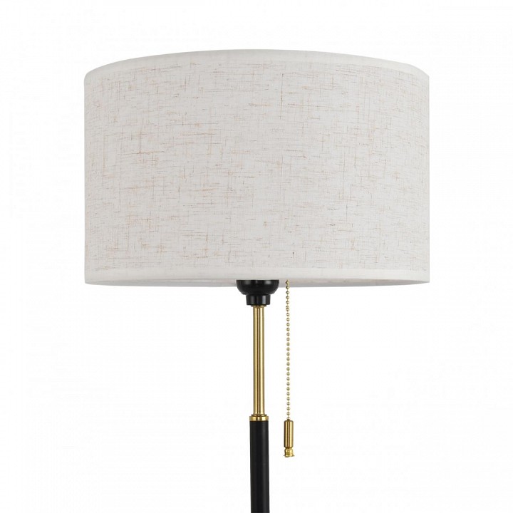 Настольная лампа декоративная lumion irisa 8358/1t