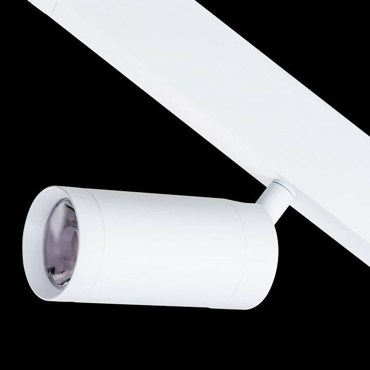 Светильник на штанге lightstar teta 205026