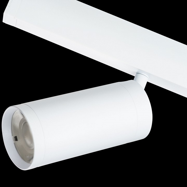 Светильник на штанге lightstar teta 205036