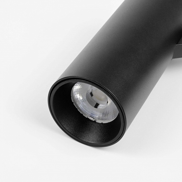 Светильник на штанге lightstar due hermes 210247