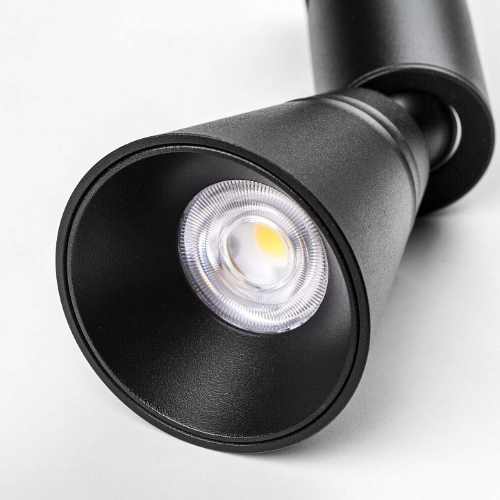 Светильник на штанге lightstar due hermes 210847