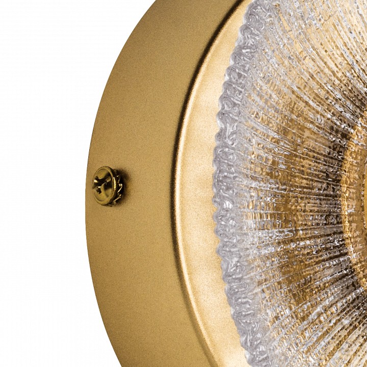 Накладной светильник lightstar erica 609602