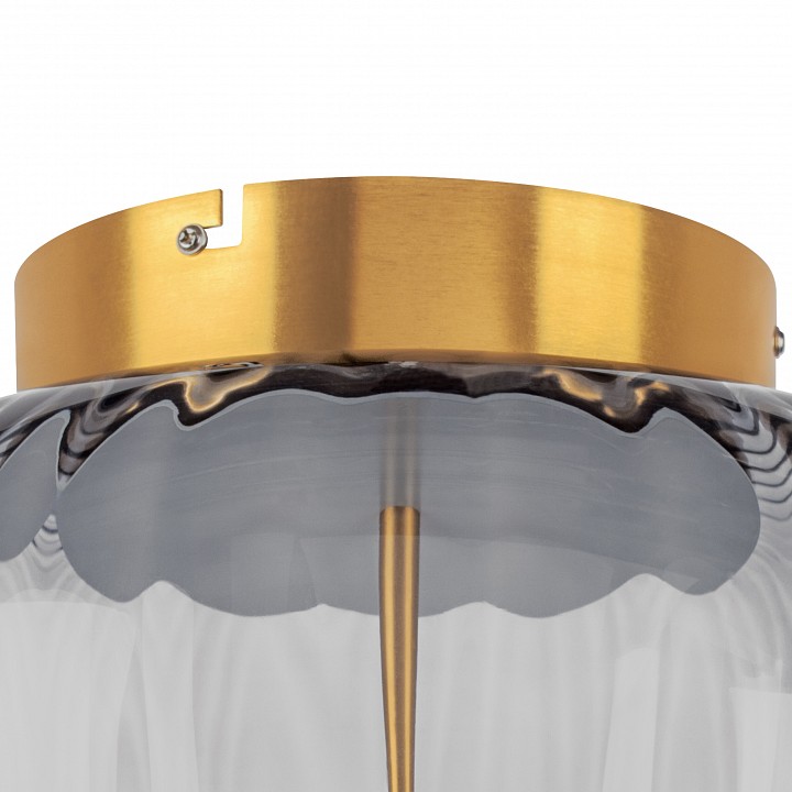 Накладной светильник lightstar celesta 809061