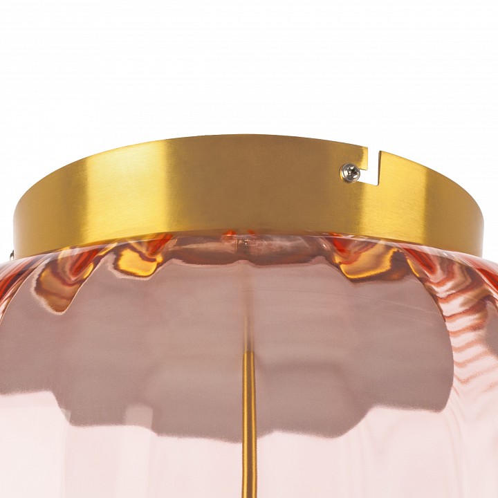 Накладной светильник lightstar celesta 809062