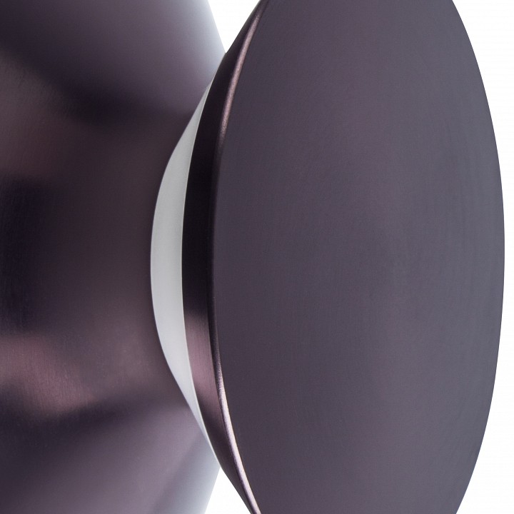 Накладной светильник lightstar celesta 809108