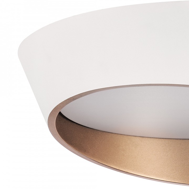 Накладной светильник lightstar celesta 809456