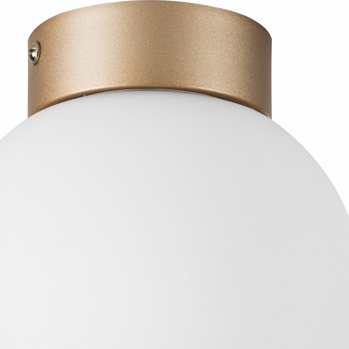 Накладной светильник lightstar globo 812013