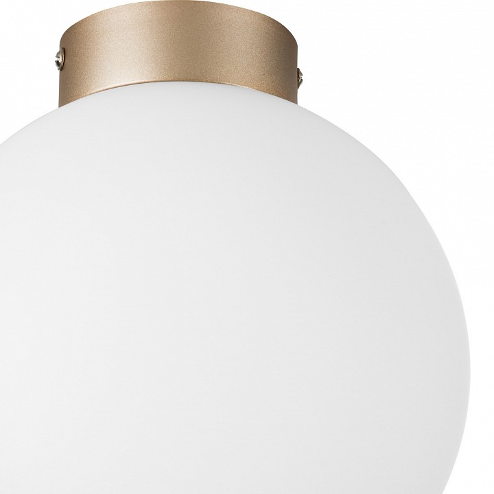 Накладной светильник lightstar globo 812023