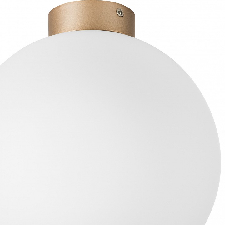 Накладной светильник lightstar globo 812033