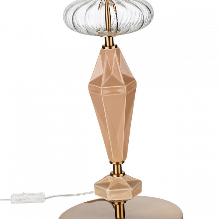 Настольная лампа декоративная odeon light terra 5414/2t