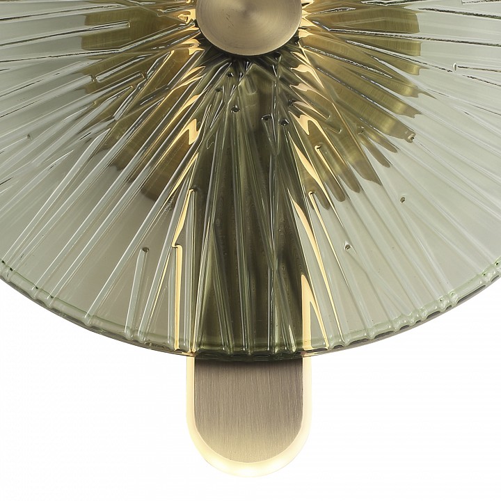 Накладной светильник st-luce wasi sl6141.321.01