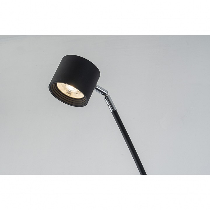 Торшер iledex tango 3082f-1 bk