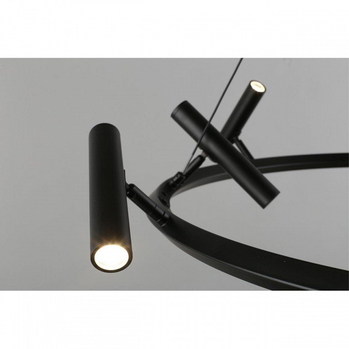 Подвесная люстра aployt honor apl.067.03.50