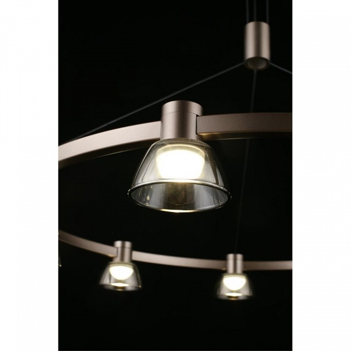 Подвесная люстра aployt rezeda apl.788.03.09