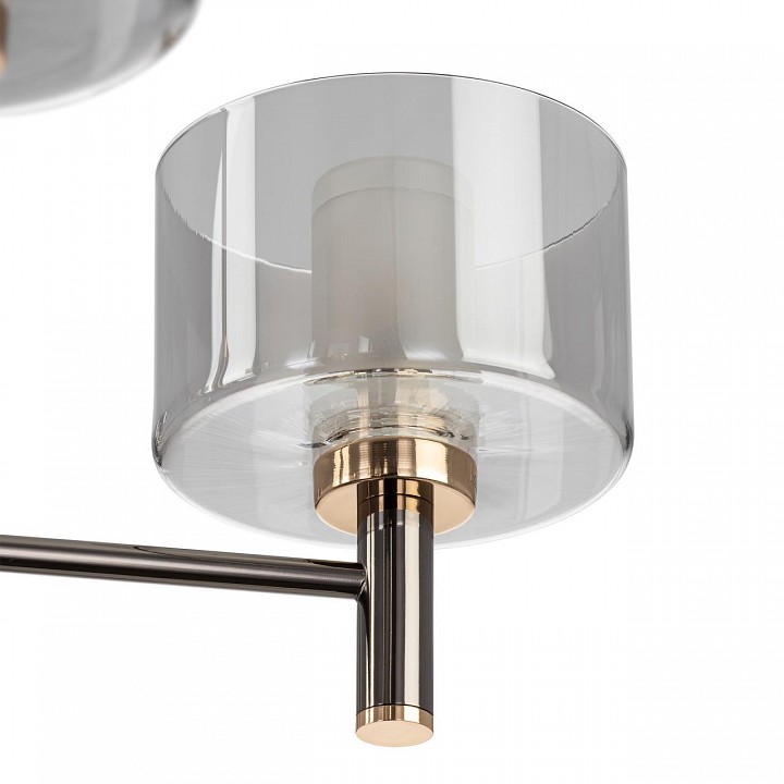 Люстра на штанге citilux elan cl241151