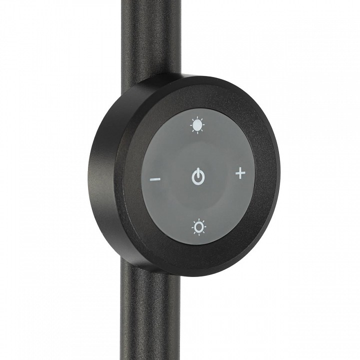 Торшер citilux loong cl810031