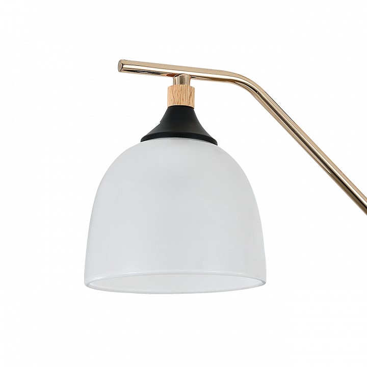 Подвесная люстра escada actinidia 2123/3p