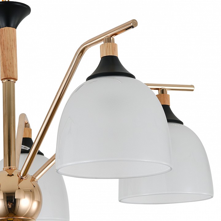 Подвесная люстра escada actinidia 2123/5p