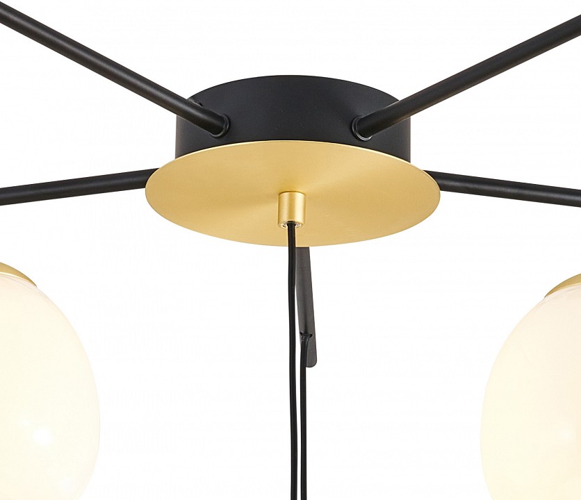 Потолочная люстра favourite paramount 3047-6p