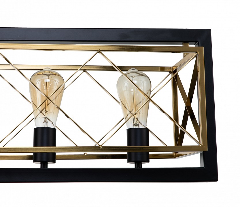 Светильник на штанге indigo era 10003/5r black