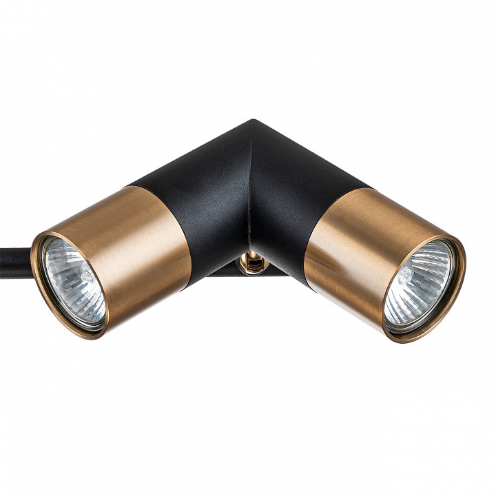 Люстра на штанге indigo doppio 11036/6r black