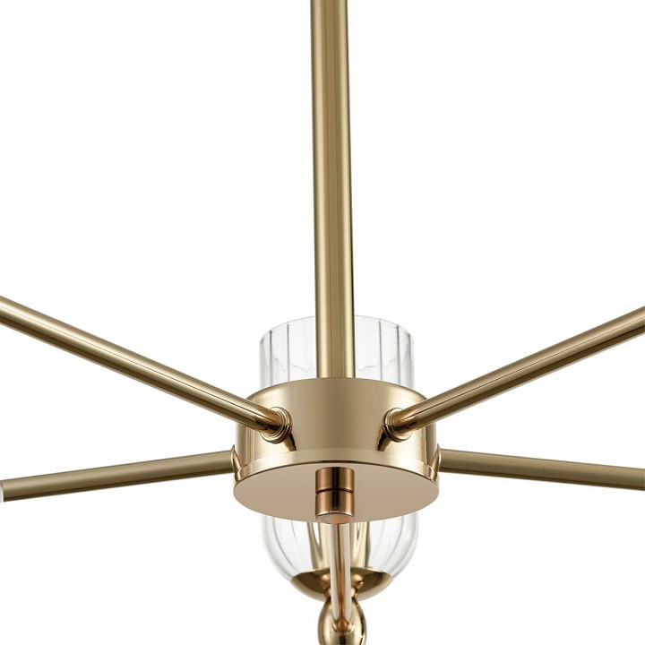 Люстра на штанге lumion kassia 6586/10