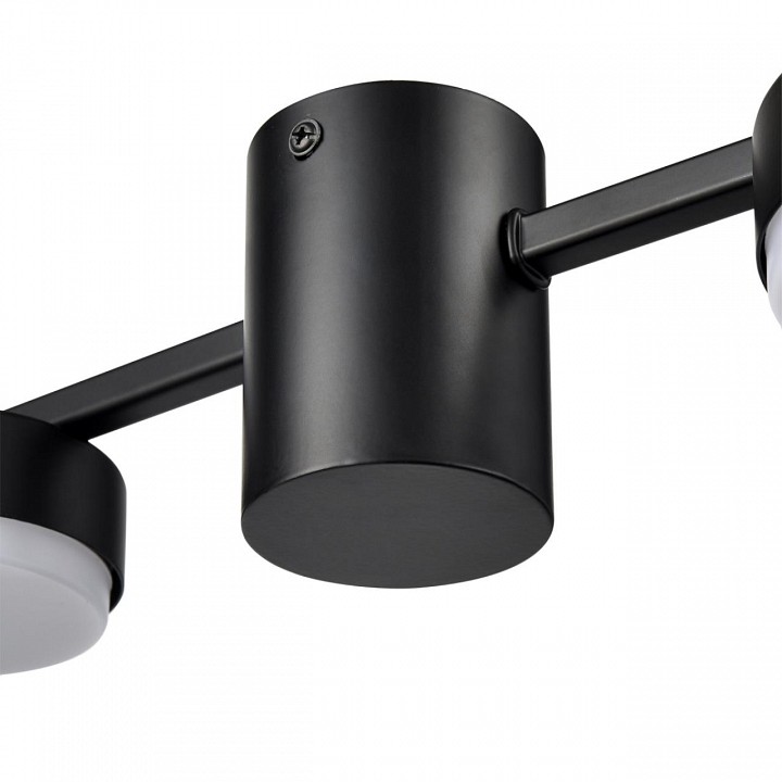 Накладной светильник lumion sanata 8187/6c