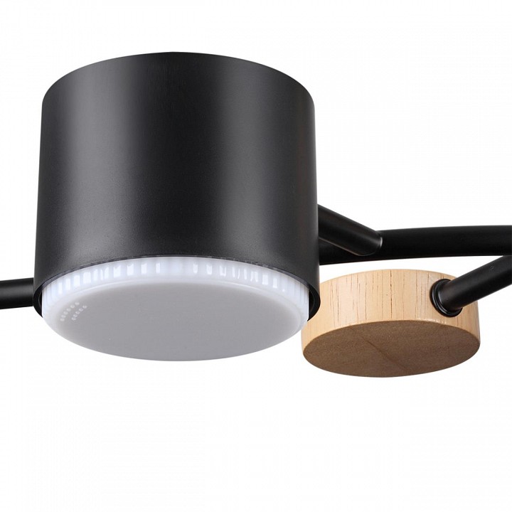 Потолочная люстра lumion crypto 8194/5c