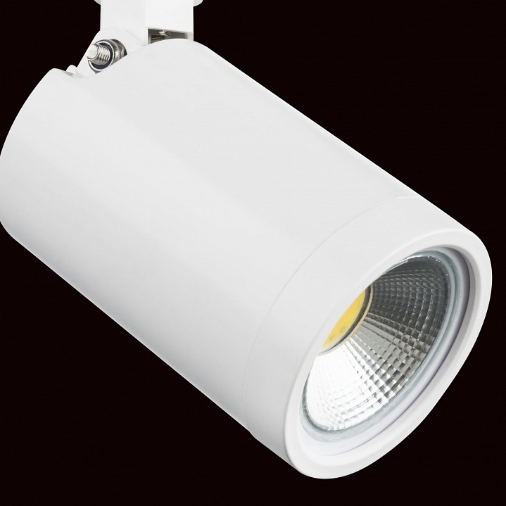 Светильник на штанге lightstar rullo 212936