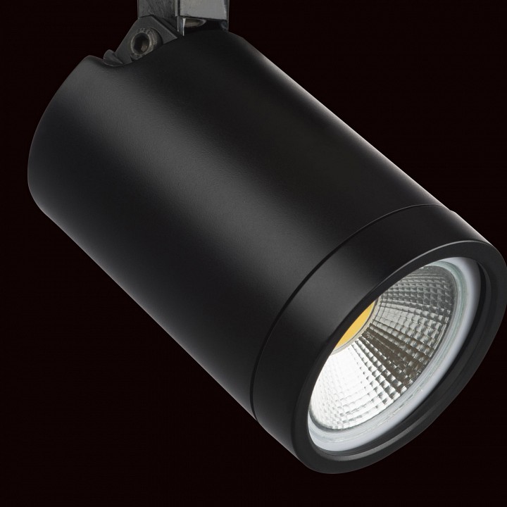 Светильник на штанге lightstar rullo 212937