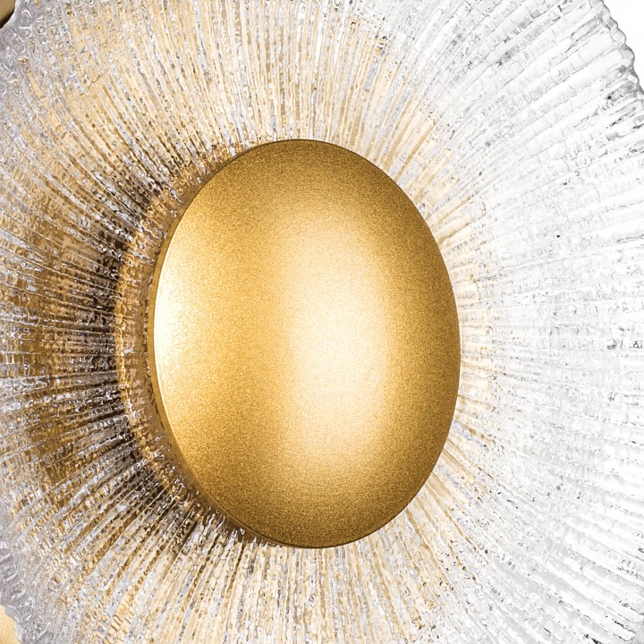 Накладной светильник lightstar erica 609602