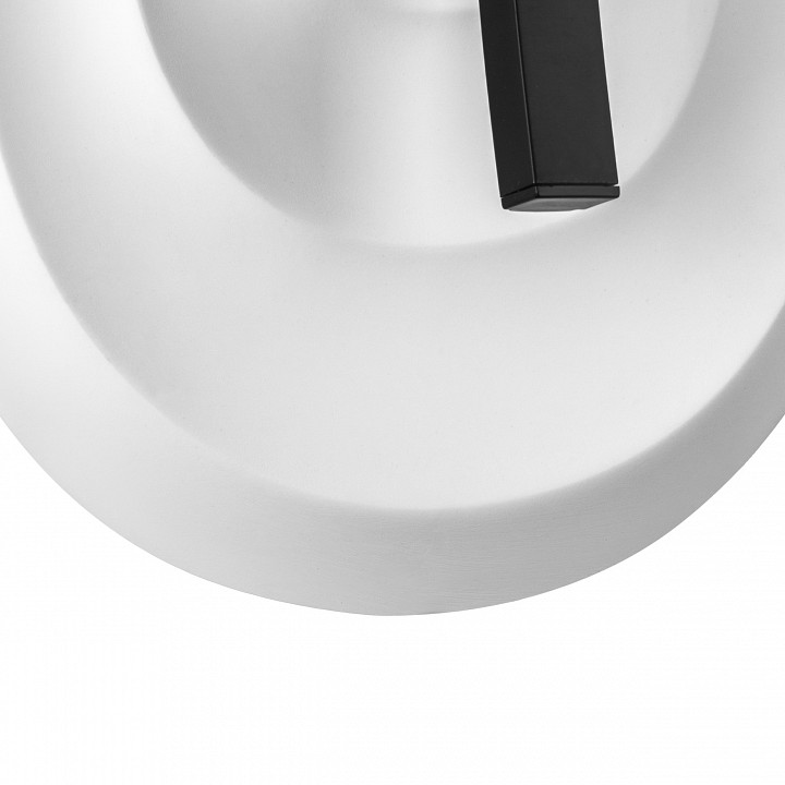 Накладной светильник lightstar erica 609646