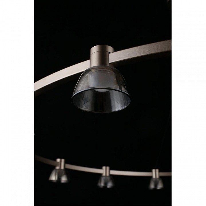 Подвесная люстра aployt rezeda apl.788.03.15