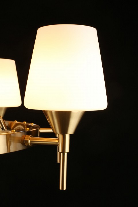 Подвесная люстра aployt lyus apl.840.03.08