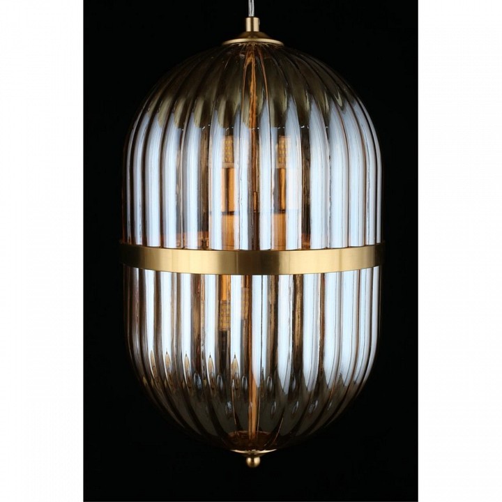 Подвесной светильник aployt ludovica apl.860.06.30