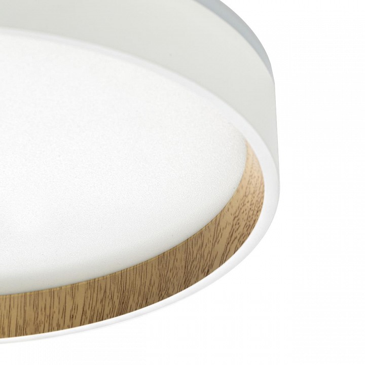 Накладной светильник citilux etalon cl750240