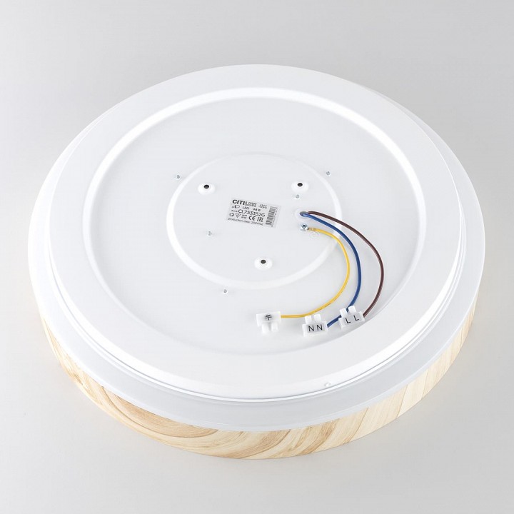 Накладной светильник citilux enzo cl753352g