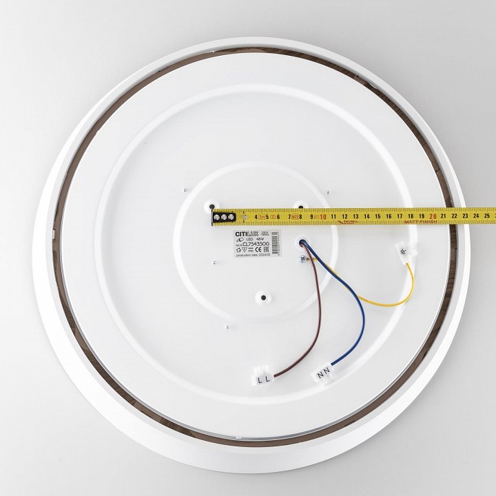 Накладной светильник citilux bonny cl754350g