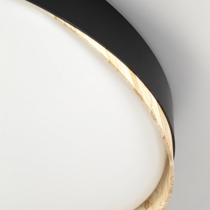 Накладной светильник citilux bonny cl754451g