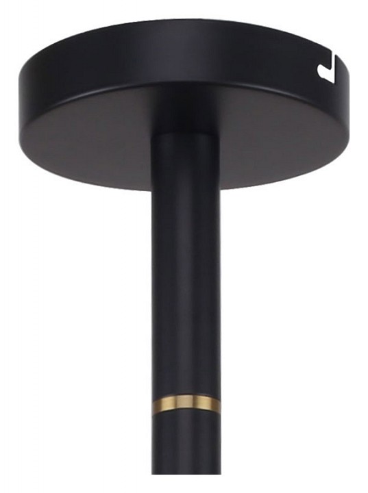 Люстра на штанге favourite eternity 2766-12p