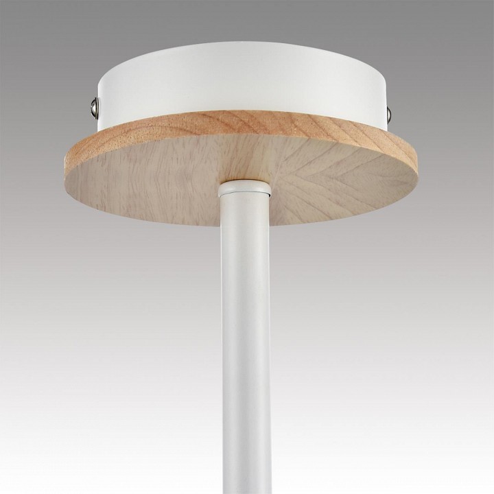 Люстра на штанге lumion irma 8246/5c