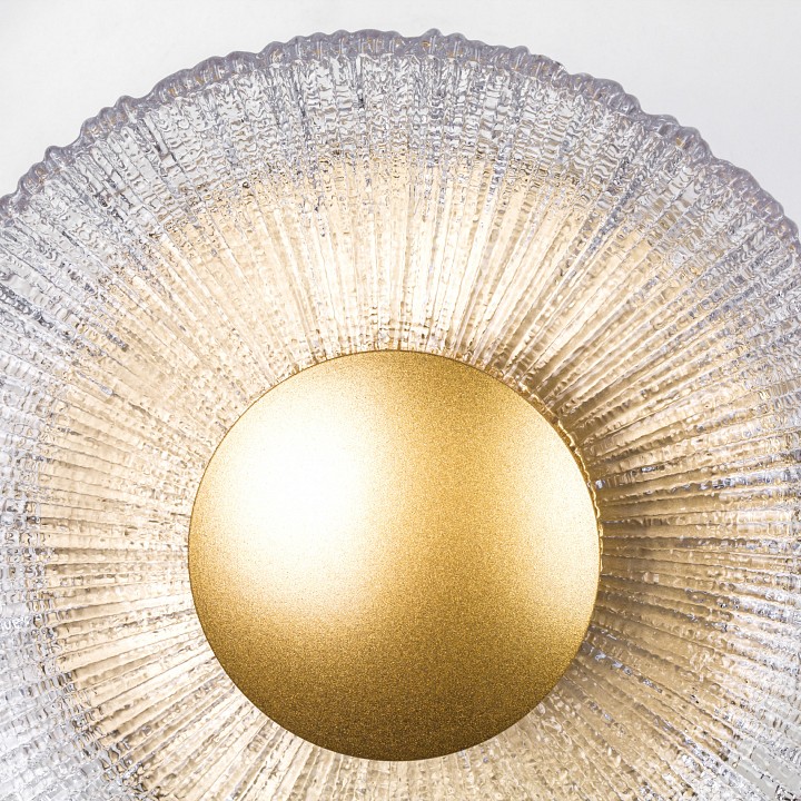 Накладной светильник lightstar erica 609602