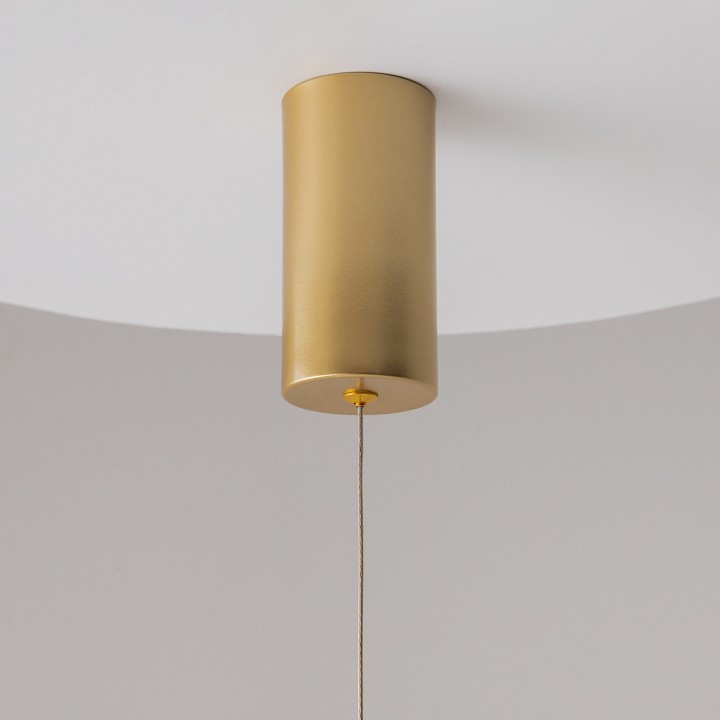 Подвесной светильник maytoni technical ray p022pl-l10mg3k