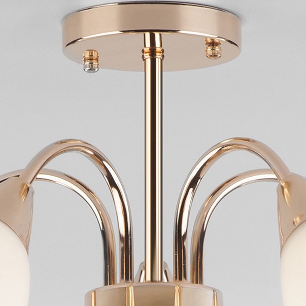 Люстра на штанге eurosvet ellene 30149/5 золото