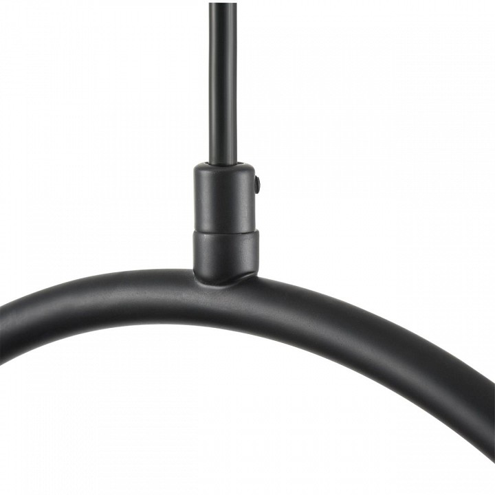 Подвесной светильник lumion ornato 8035/3