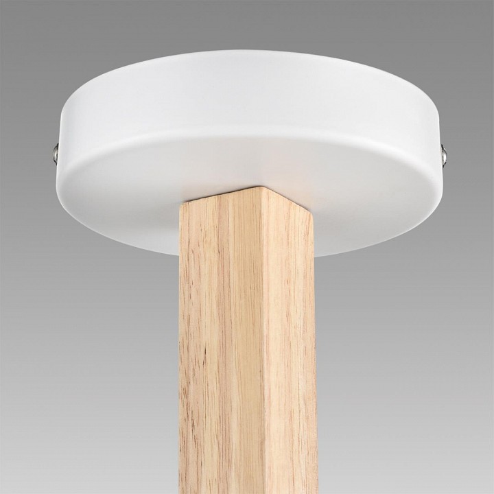 Люстра на штанге lumion colange 8095/3c