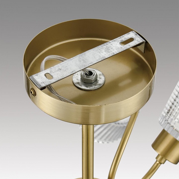 Люстра на штанге lumion imana 8154/6c