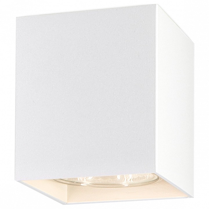 Накладной светильник ambrella light tn tn213139