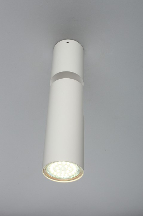 Спот aployt berenis apl.007.02.01