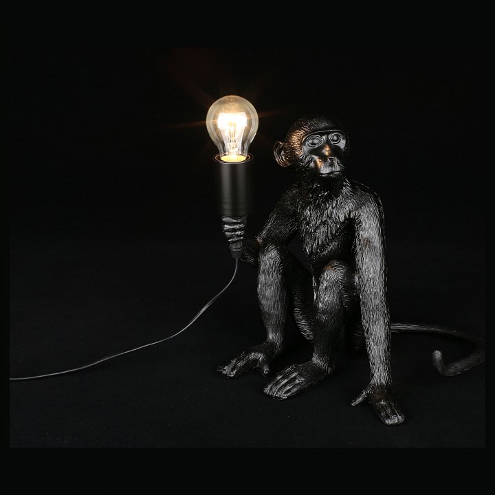 Зверь световой aployt magali apl.309.24.01